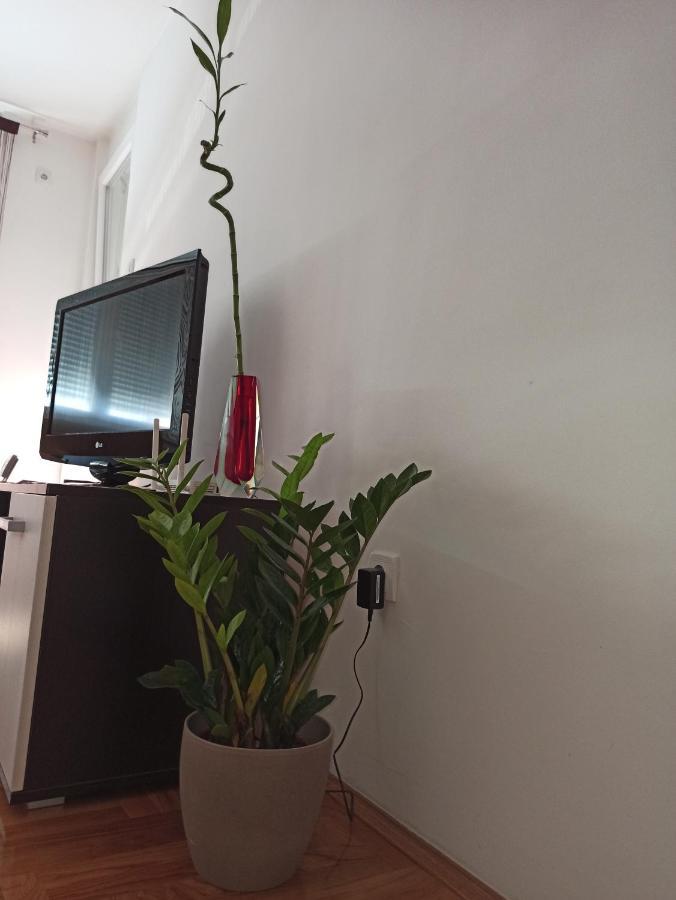 Bk Apartment, Istocno Sarajevo, Lukavica エクステリア 写真
